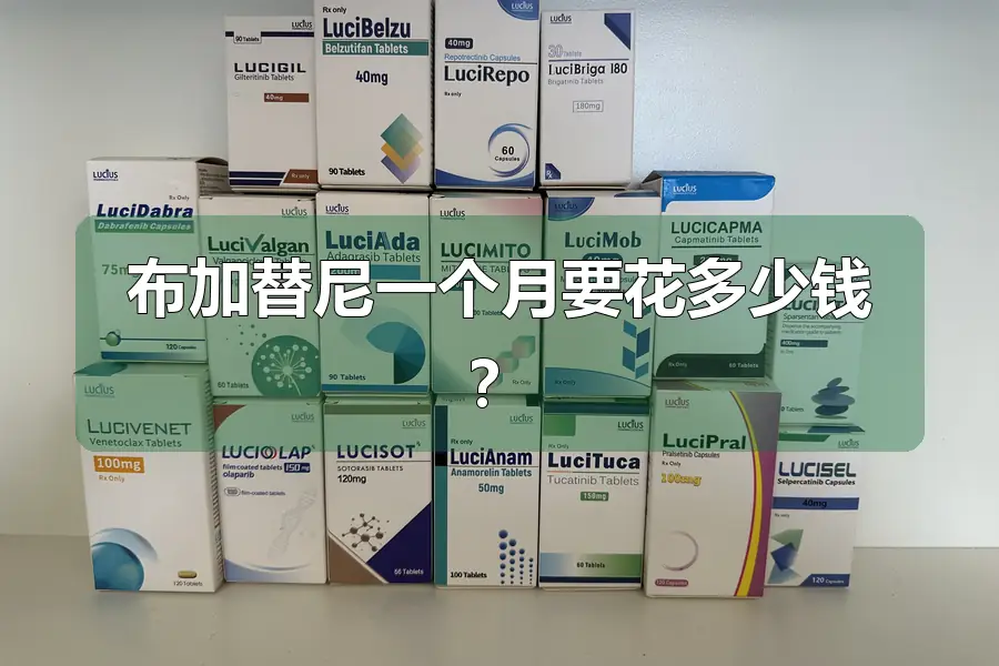 布加替尼一个月要花多少钱?
